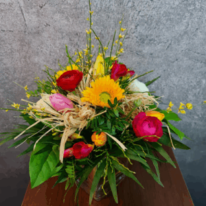 Allium Blumen
