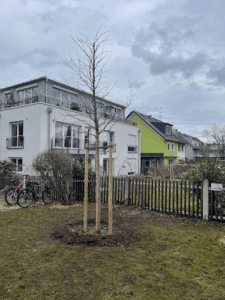 Bärenwald Haus & Gartenservice