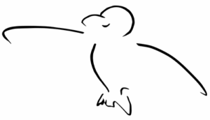 Kinderarztpraxis Der Rabendoktor