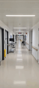Lmu Frauenklinik