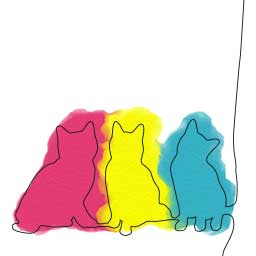 Miez & Maunz Agentur für Katzensitting
