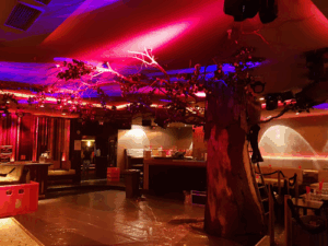Pacha