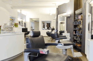 Santino Primavera Der Salon
