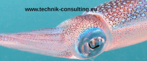 Technische Unternehmensberatung / Ingenieurbüro - Dirk Brunner
