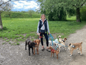 Tierbetreuung Happy Pets
