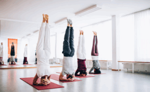 Yoga & Meditation Solln